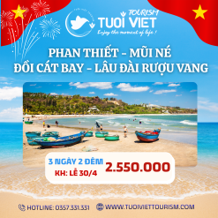 Tour Phan Thiết – Mũi Né – Đồi Cát Bay - Lâu Đài Rượu Vang